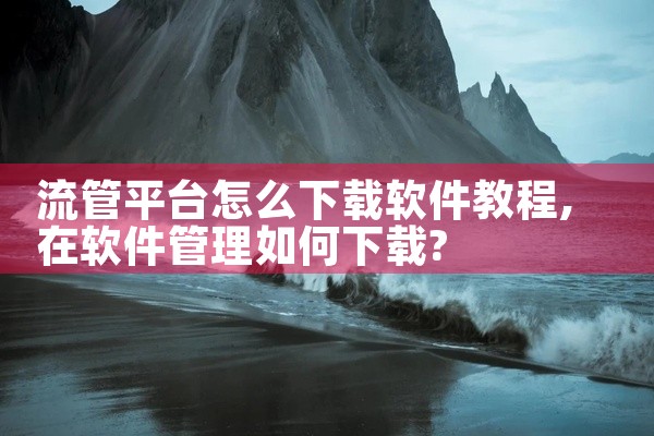 流管平台怎么下载软件教程