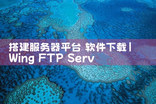 搭建服务器平台 软件下载