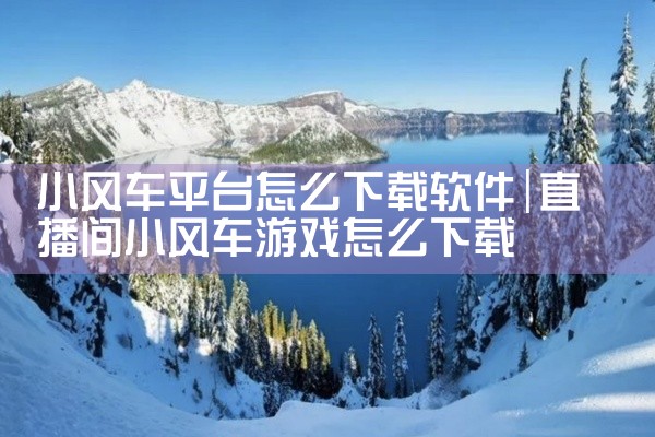 小风车平台怎么下载软件