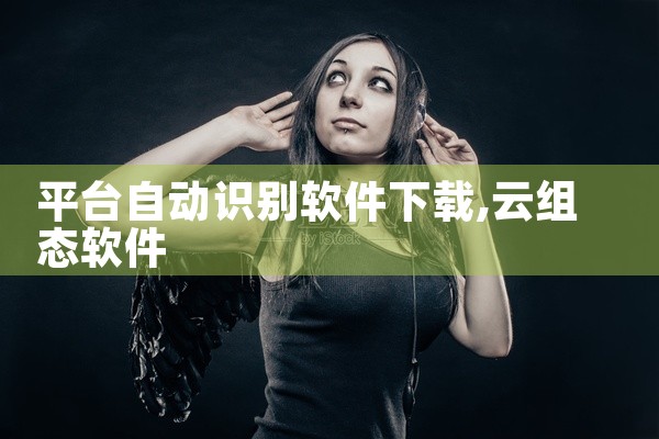 平台自动识别软件下载