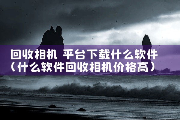 回收相机 平台下载什么软件