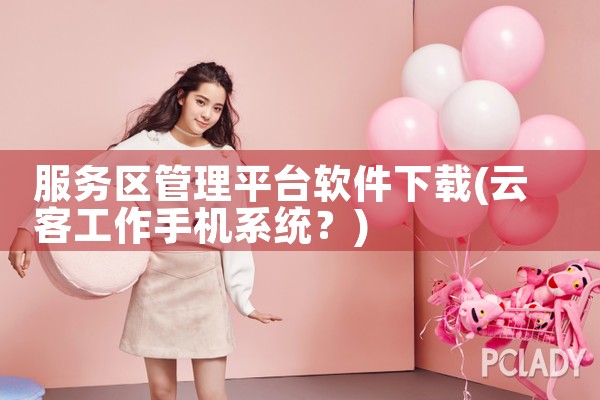 服务区管理平台软件下载