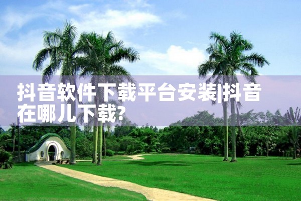 抖音软件下载平台安装