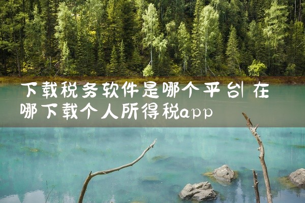 下载税务软件是哪个平台
