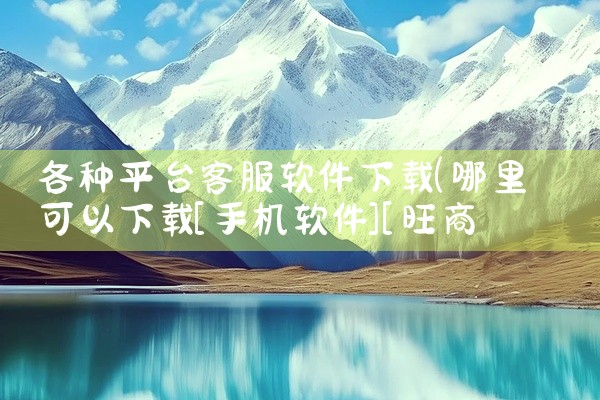 各种平台客服软件下载