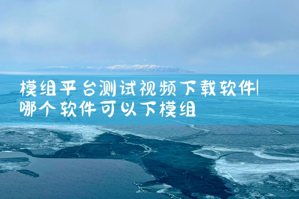 模组平台测试视频下载软件