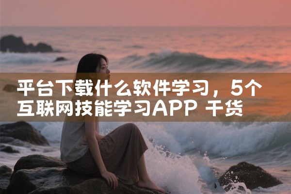 平台下载什么软件学习