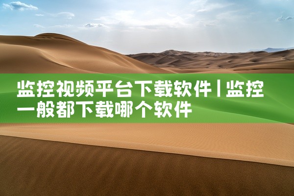 监控视频平台下载软件
