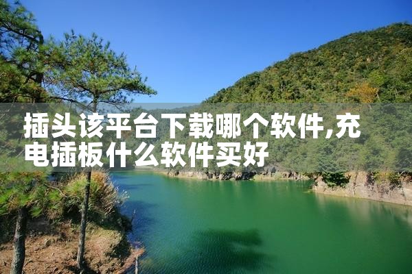 插头该平台下载哪个软件