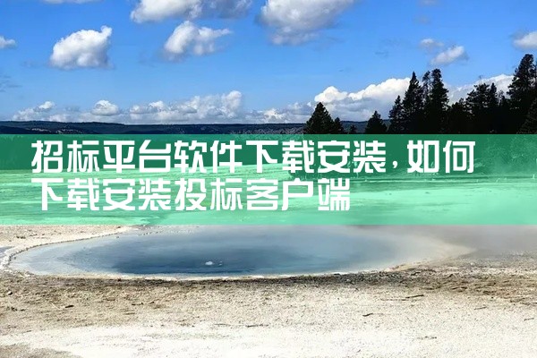 招标平台软件下载安装