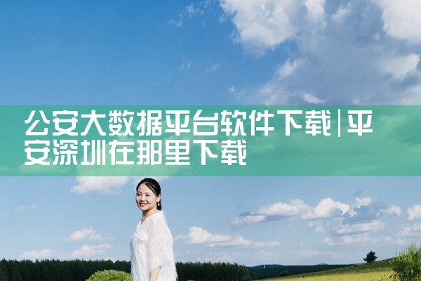 公安大数据平台软件下载