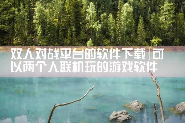 双人对战平台的软件下载