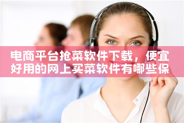 电商平台抢菜软件下载