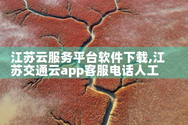 江苏云服务平台软件下载